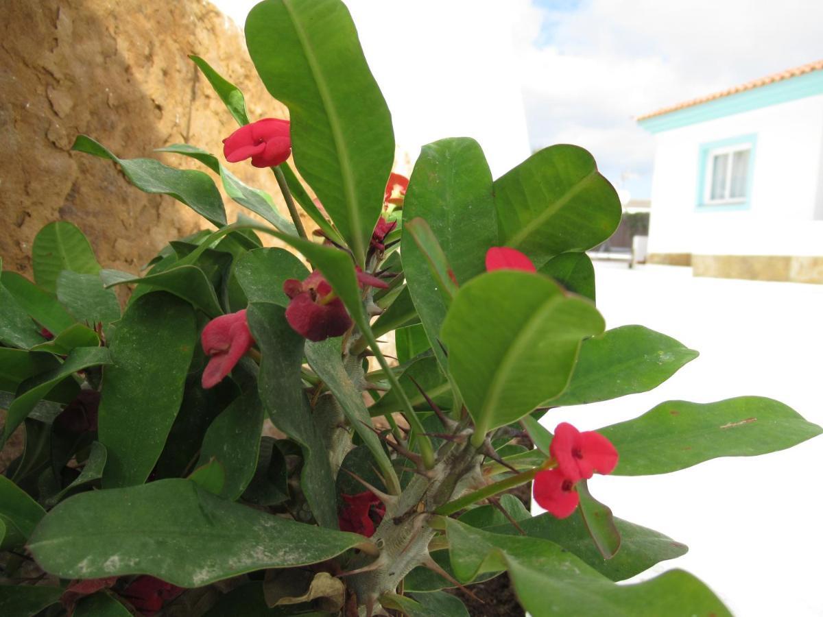 Nautico Boutique Apartments, By Comfortable Luxury - Adults Only Corralejo Exterior photo